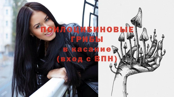PSILOCYBIN Алзамай