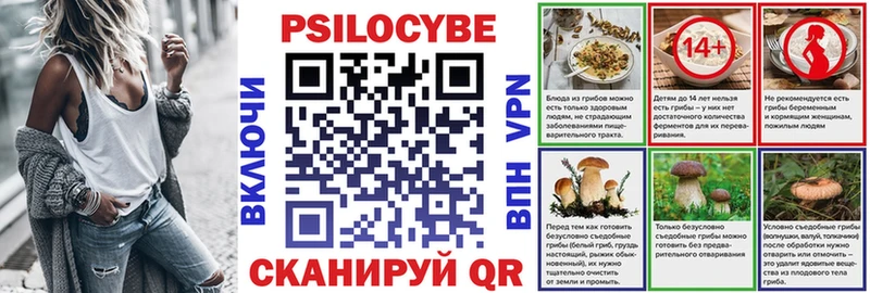 Галлюциногенные грибы Psilocybine cubensis Зеленоградск